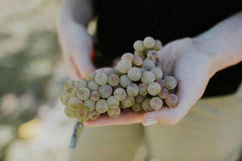 Rowlee Vine To Table Experience - Hotel Accommodation 1