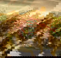 Tarana Indian Restaurant - Hotel Accommodation