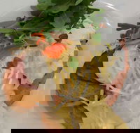 Vida Espresso - Hotel Accommodation