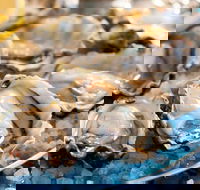 Atrium - Hotel Accommodation