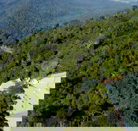 Canopy Cafe - Hotel Accommodation