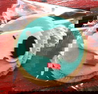 Curl the Whisker Cafe - Hotel Accommodation