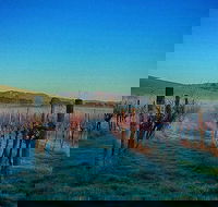 Eastern Peake Winery - Hotel Accommodation