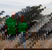 Milawa Organic Beef - Hotel Accommodation