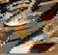 Perso - Hotel Accommodation