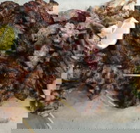 Pita Wrap It - Hotel Accommodation