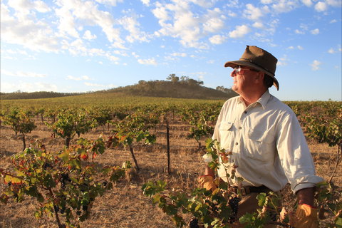 Sally's Paddock At Redbank Winery - Hotel Accommodation 2