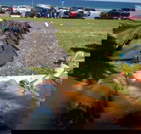 Fish House - Hotel Accommodation