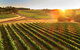 Leeuwin Estate - thumb 1