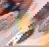 Quiksilver Bar 61 - Hotel Accommodation