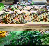 Salud Expresso Bar - Hotel Accommodation