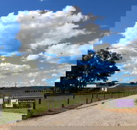 Short Sheep Micro-Winery - Hotel Accommodation