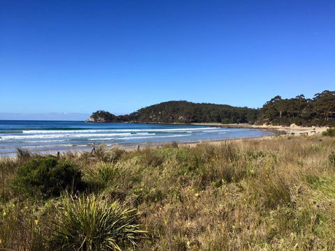 Surf Beach Cafe - Hotel Accommodation 0