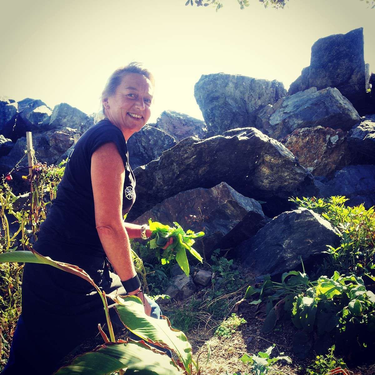 Bucca NSW Hotel Accommodation