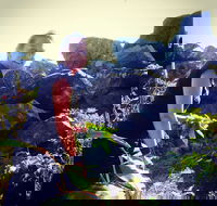 The Galley - Hotel Accommodation