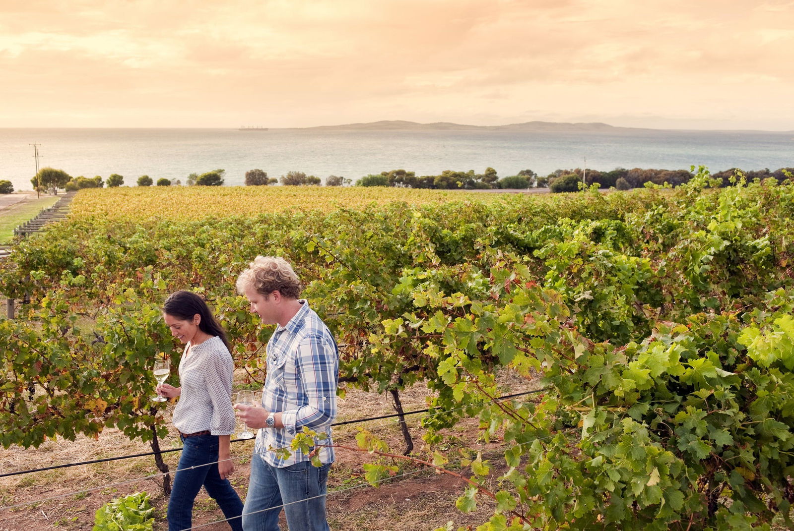 Louth Bay SA Hotel Accommodation