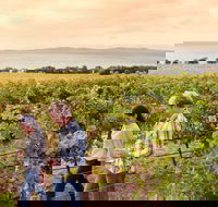 Boston Bay Wines - Hotel Accommodation