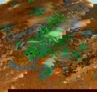 Four Figs - Hotel Accommodation