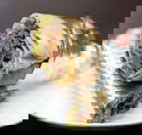 Imperial Kebabs - Hotel Accommodation