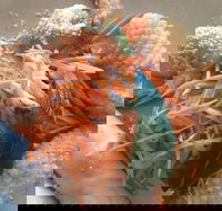 On Shore - Hotel Accommodation