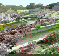 The Farmer's Place - Hotel Accommodation