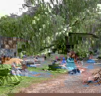 The Pop Inn by Wine Bar Co. - Hotel Accommodation