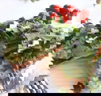 The Garden Tearooms  Cottage Nursery - Hotel Accommodation