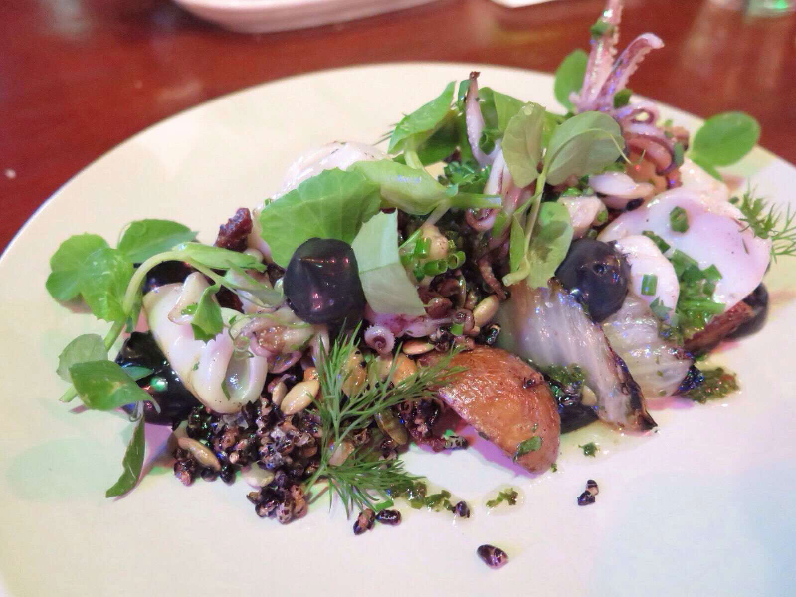 Wights Mountain QLD Hotel Accommodation