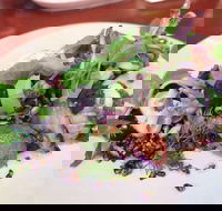 YaYa Bar and Eatery - Hotel Accommodation