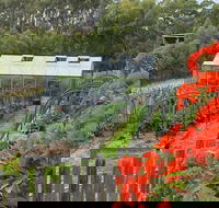 Hot Chilli Mama - Hotel Accommodation