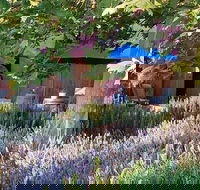 Macquariedale Organic Wines - Hotel Accommodation