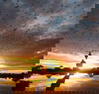 Old Lodge Gallery Emporium and River Cafe - Hotel Accommodation