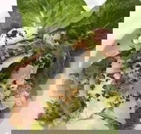 Ryan's Gourmet Kitchen - Hotel Accommodation