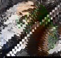 Seoul Buffet Korean BBQ  Steamboat - Victoria Park - Hotel Accommodation