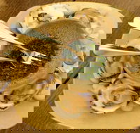 The Cottage Scone - Hotel Accommodation