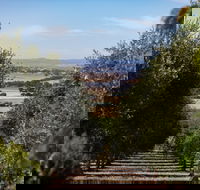 Wollundry Grove Olives - Hotel Accommodation