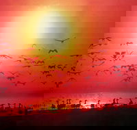 Good Thanks - Hotel Accommodation