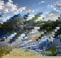 Hillbrook Hygge Cafe - Hotel Accommodation