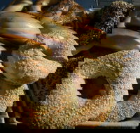 NYC Bagel Deli - Fortitude Valley - Hotel Accommodation