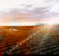 Rich Glen Olive Farm - Hotel Accommodation