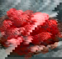 Christmas Hills Raspberry Farm Cafe - Hotel Accommodation