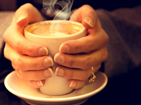 J & L Coffee Roasters And Chocolatiers - Hotel Accommodation 0