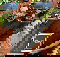 Masala Fusion - Hotel Accommodation