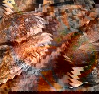 Mr Espresso - Ramsgate - Hotel Accommodation