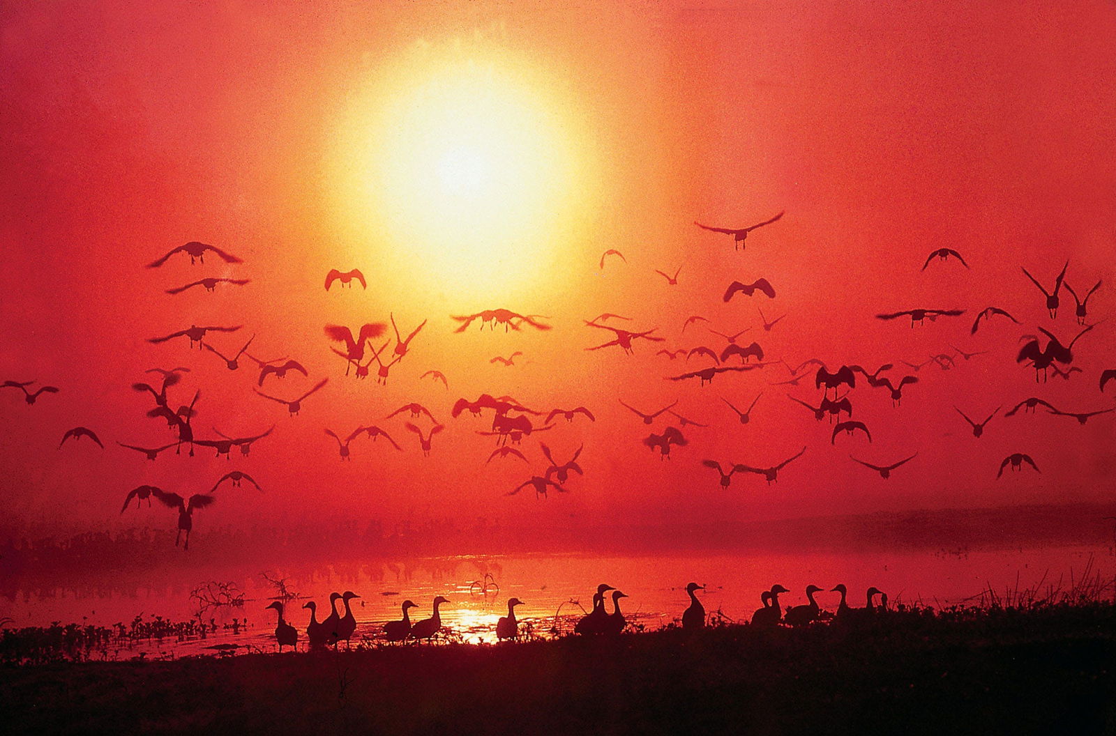 Gre Gre North ACT Hotel Accommodation