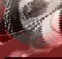 Burrundulla Vineyards - Hotel Accommodation