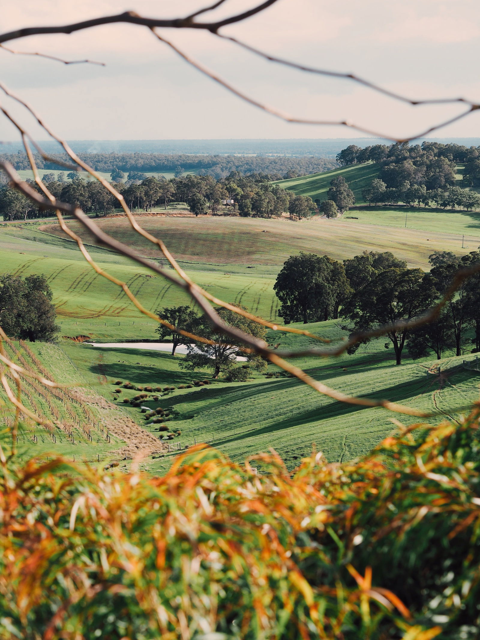 Wellington Forest WA Hotel Accommodation