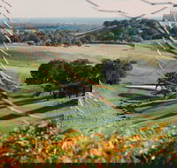 Green Door Winery Cellar Door - Hotel Accommodation