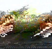 Pasfields Restaurant  Bar Deck - Hotel Accommodation