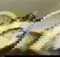 Pearly Oyster Bar and Farm - Hotel Accommodation